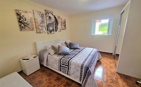 Cozy House In Central Sanatana, Near Top Hiking Trails And Levadas, Pico Ruivo